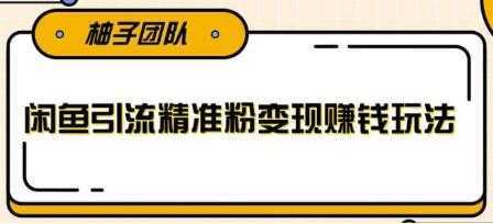 闲鱼引流精准粉变现赚钱玩法,每天可以引流精准粉100+-课程网