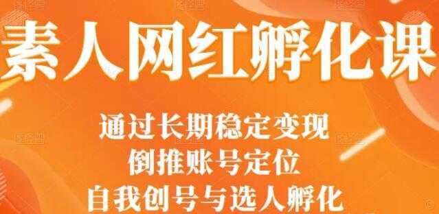 马大个《素人网红孵化课》通过长期稳定变现,自我创号与选人孵化-课程网