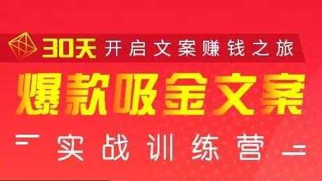 安顿文案写作《爆款吸金文案》实战训练营,30天开启文案赚钱之旅-课程网