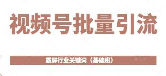 《视频号批量引流》霸屏行业关键词玩法(基础班)-课程网