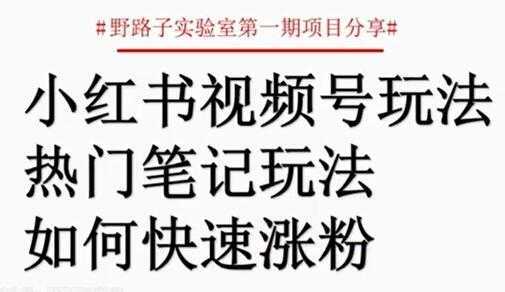 小红书视频号项目,直接上手操作,月入过万-课程网