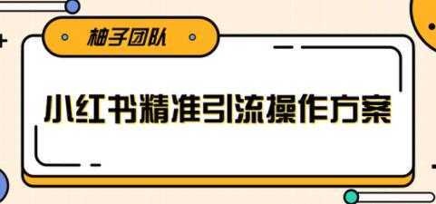 小红书精准引流操作方案,能够直接落地实操引流技术-课程网