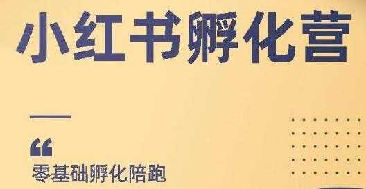 小红书撸金项目,教你如何快速起号获得曝光,做到月躺赚在3000+-课程网