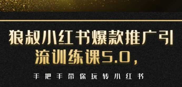 小红书爆款推广引流训练课5.0,手把手带你玩转小红书(17节实操视频+话术)-课程网