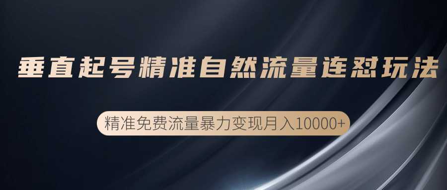 垂直起号精准自然流量连爆玩法,精准引流暴力变现月入10000+-课程网
