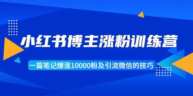 小红书博主涨粉训练营:一篇笔记爆涨10000粉及引流微信的技巧-课程网