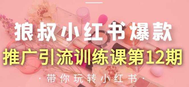 狼叔小红书爆款推广引流训练课第12期,手把手带你玩转小红书-课程网