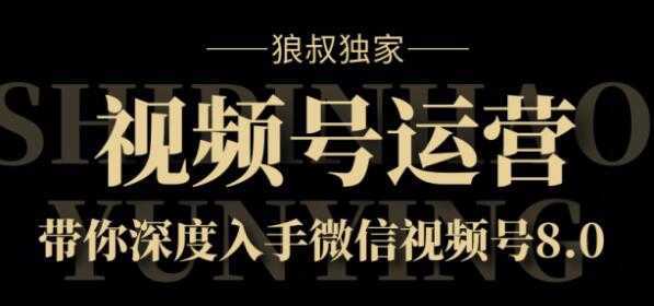 狼叔独家:视频号8.0运营实战课价值1280元-课程网