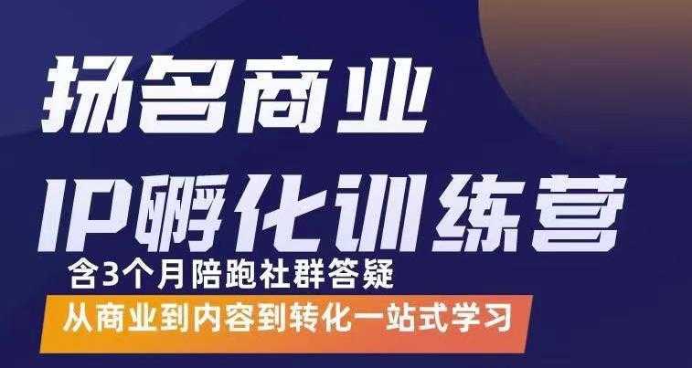 杨名商业IP孵化训练营,从商业到内容到转化一站式学 价值5980元-课程网