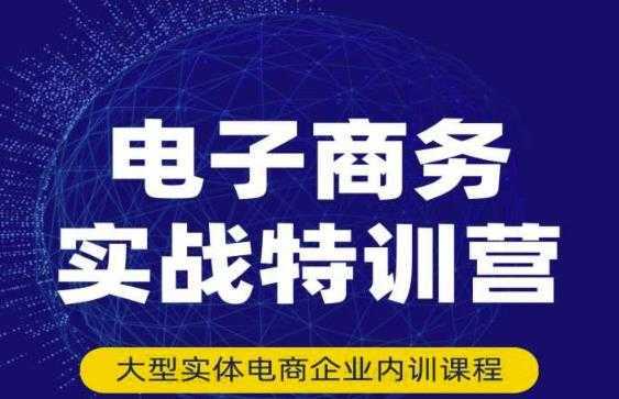 民赛电气内部出品:电子商务实战特训营,全方位带你入门电商,308种方式玩转电商-课程网