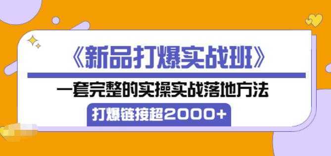 凌童《新品打爆实战班》,一套完整的实操实战落地方法,打爆链接超2000+(28节课)-课程网