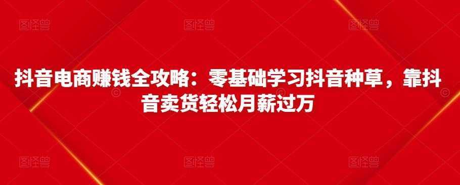 抖音电商赚钱全攻略:零基础学习抖音种草,靠抖音卖货轻松月薪过万-课程网