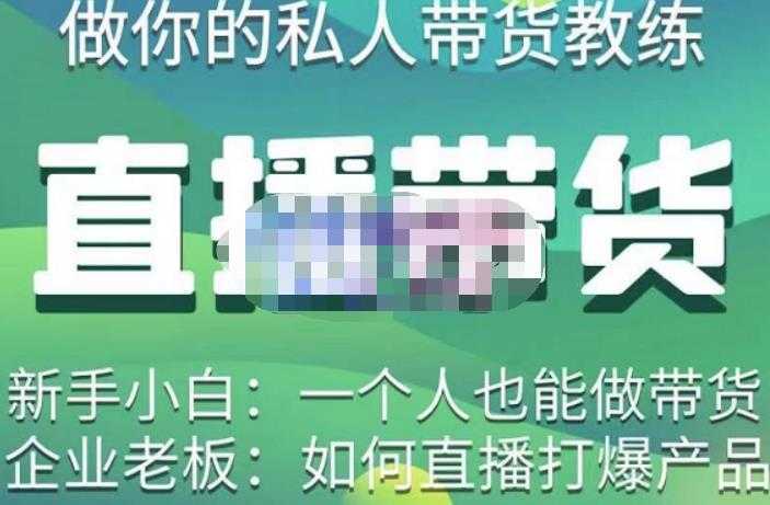 硬核传媒·直播带货(私人教练),实操实战教学,通俗易懂,学完后新手小白一个人也能做带货-课程网