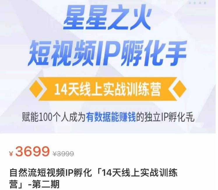 瑶瑶·自然流短视频IP孵化第二期,14天线上实战训练营,赋能100个人成为有数据能赚钱的独立IP孵化手-课程网