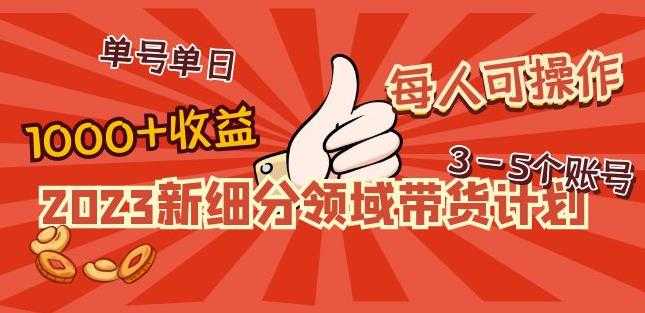 2023新细分领域带货计划:单号单日1000+收益不难,每人可操作3-5个账号-课程网