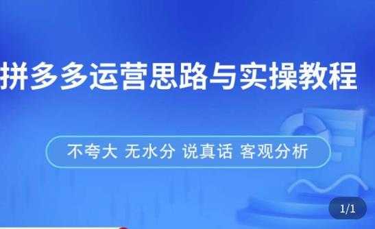 拼多多店铺运营思路与实操教程,快速学会拼多多开店和运营,少踩坑,多盈利-课程网