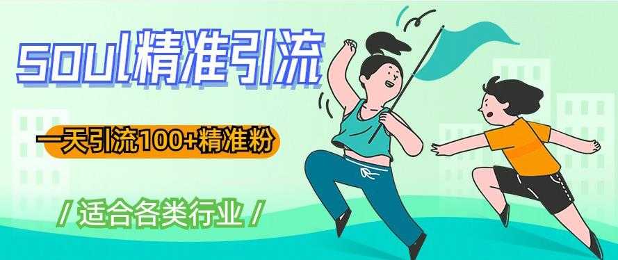 soul精准引流系列课程,一天引流100+精准粉,适合各类行业-课程网