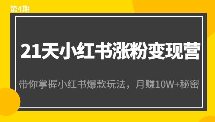 21天小红书涨粉变现营(第4期):带你掌握小红书爆款玩法,月赚10W+秘密-课程网