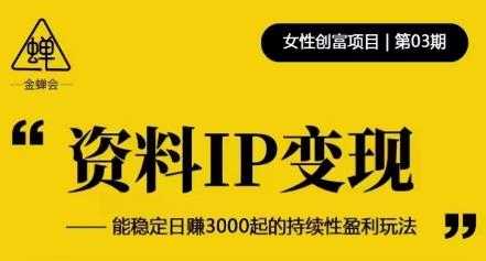 资料IP变现,能稳定日赚3000起的持续性盈利玩法-课程网