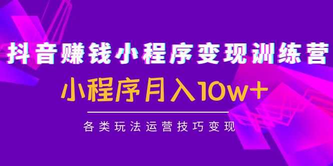 抖音赚钱小程序变现训练营:小程序月入10w+各类玩法运营技巧变现-课程网