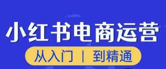 顽石小红书电商高阶运营课程,从入门到精通,玩法流程持续更新-课程网