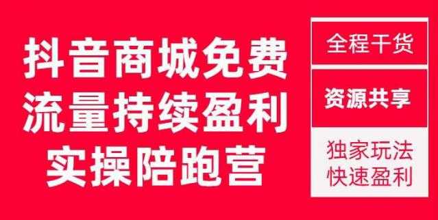 抖音商城搜索持续盈利陪跑成长营,抖音商城搜索从0-1、从1到10的全面解决方案-课程网