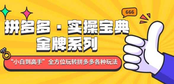 拼多多·实操宝典:金牌系列“小白到高手”带你全方位玩转拼多多各种玩法-课程网