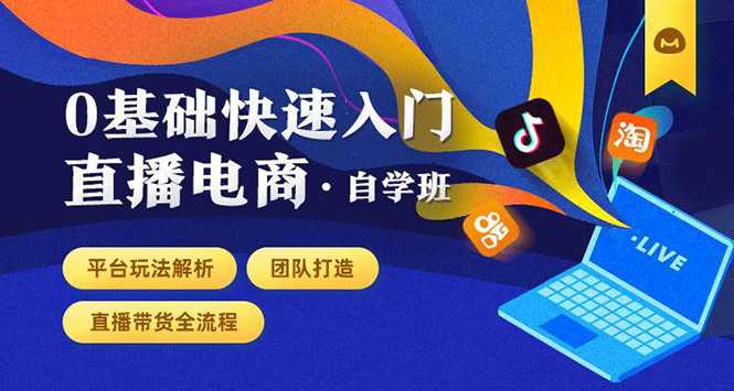 0基础快速入门直播电商课程:直播平台玩法解析-团队打造-带货全流程等环节-课程网