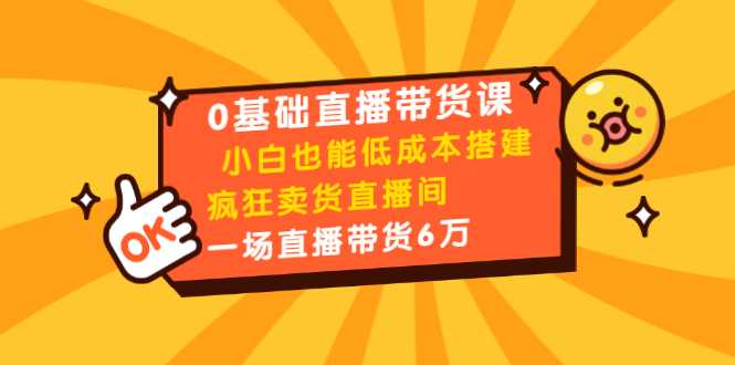 0基础直播带货课:小白也能低成本搭建疯狂卖货直播间:1场直播带货6万-课程网