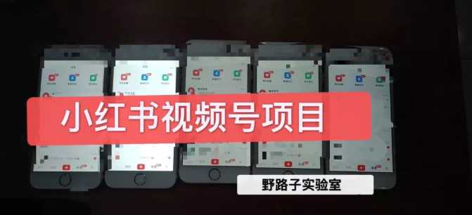 野路子小红书视频号1.0项目,直接上手操作就能赚钱的视频号项目-课程网