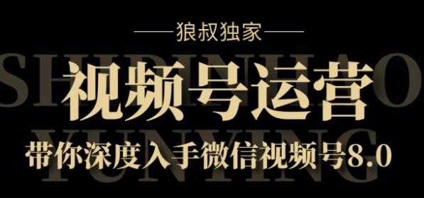 狼叔独家:视频号8.0运营实战课价值1280元-课程网