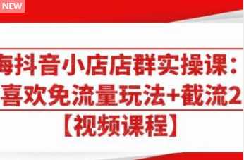 大海抖音小店店群实操课:猜你喜欢免流量玩法+截流 2.0-课程网