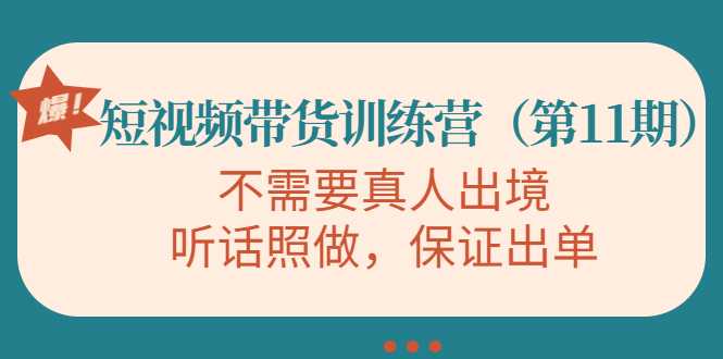 视频带货训练营,不需要真人出境,听话照做,保证出单(第11期)-课程网