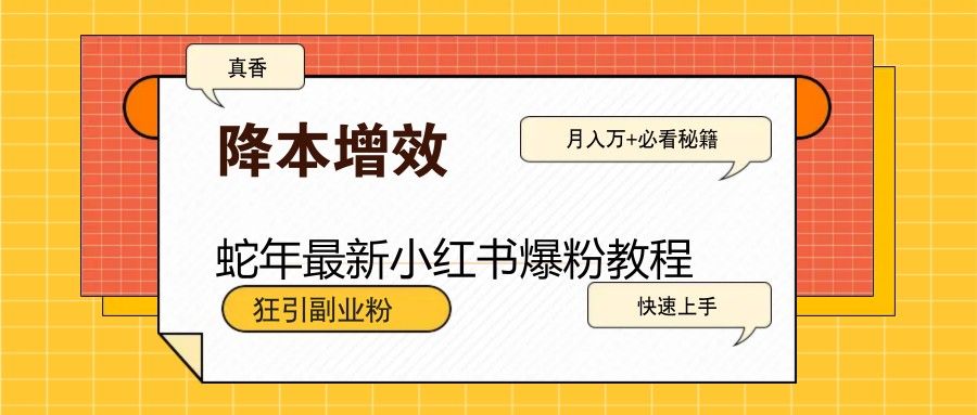 蛇年最新小红书爆粉教程,狂引副业粉,月入万+必看-课程网