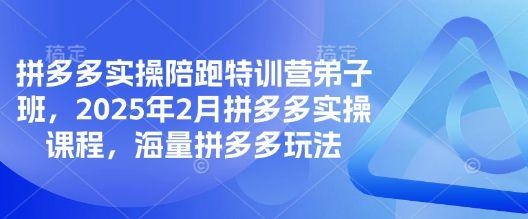 拼多多实操陪跑特训营弟子班,2025年2月拼多多实操课程-课程网