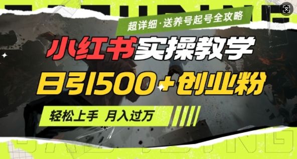 小红书最新日引500+创业粉实操教学-课程网