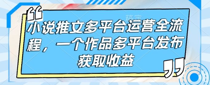 小说推文多平台运营全流程-课程网