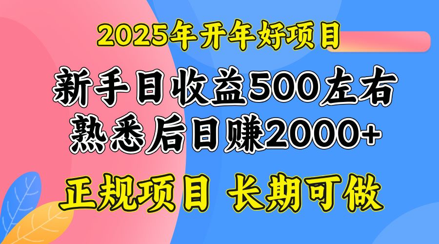 2025开年好项目,单号日收益2000左右-课程网