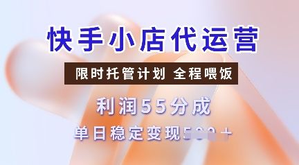 快手小店代运营,限时托管计划,收益55分-课程网