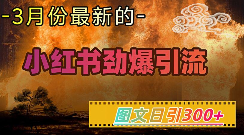 小红书超劲爆引流手段，图文日引300+轻松变现1W-课程网