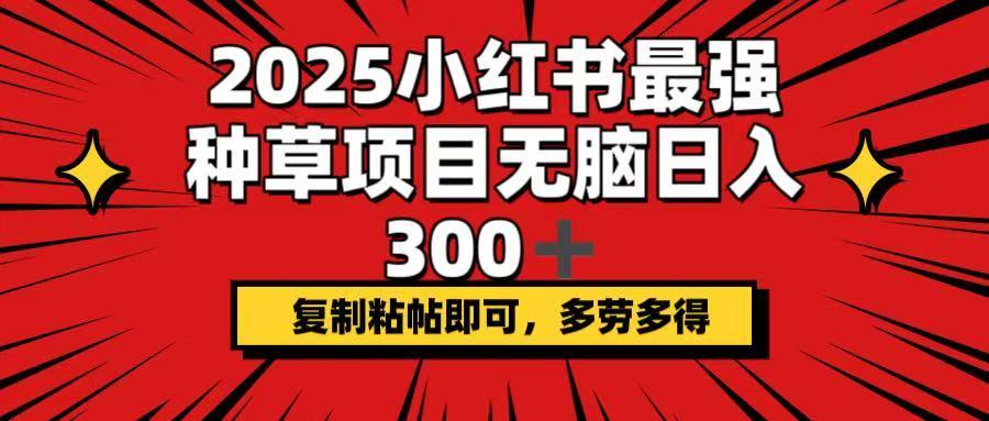 2025小红书最强种草项目，无脑日入300+，复制粘帖即可，多劳多得-课程网