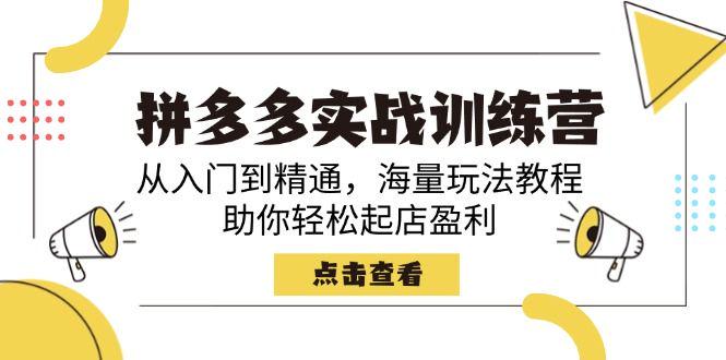 拼多多实战训练营,从入门到精通,助你轻松起店盈利-课程网