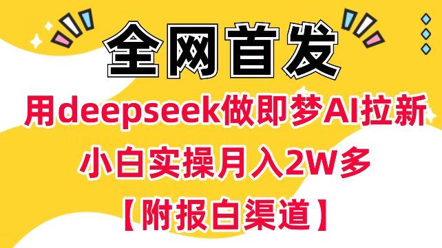 用deepseek做即梦Ai拉新小白实操月入过W+【附报白渠道】-课程网