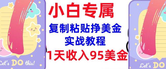 复制粘贴挣美金，0门槛，1天收入95美刀，内部教程(首次公开)-课程网