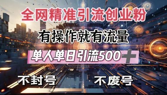 全网独家引流创业粉，有操作就有流量-课程网