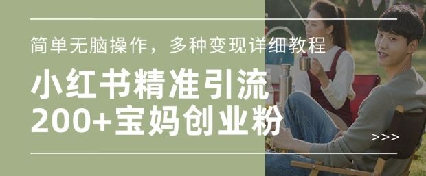 小红书混剪日引200+宝妈创业粉-课程网