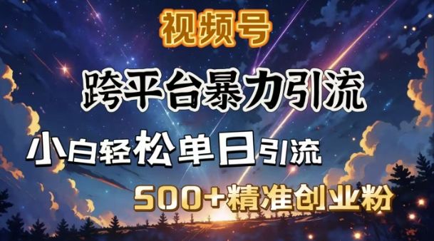 跨平台暴力引流,私域完美闭环,日引500+精准创业粉-课程网