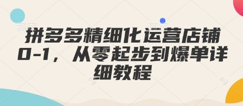 拼多多精细化运营店铺0-1,从零起步-课程网