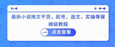 最新小说推文干货，起号，选文，实操等保姆级教程-课程网